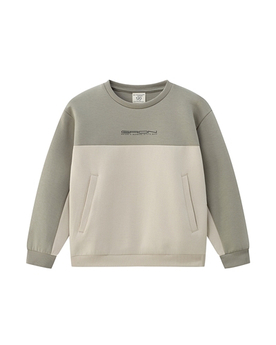 ბავშვის ჯემპრი