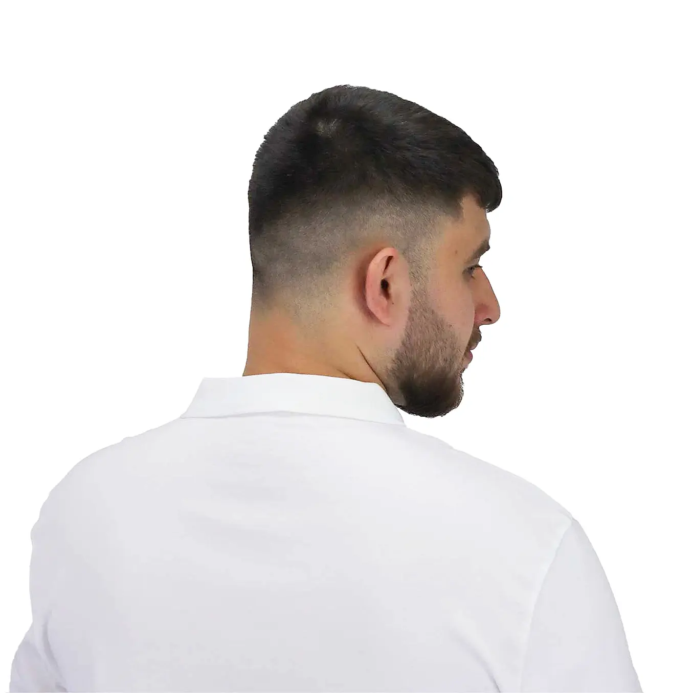 პოლო მაისური